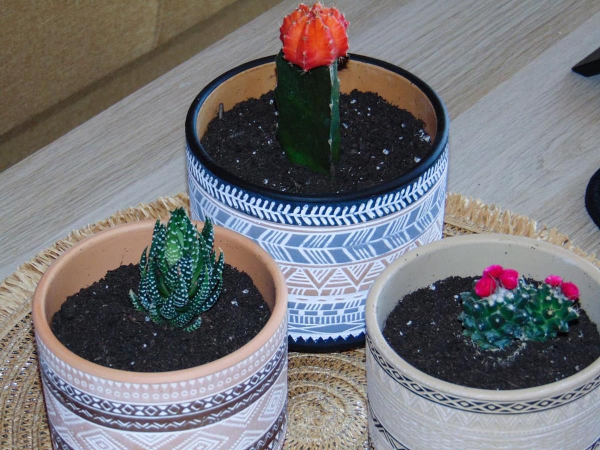 The Orange Cactus Sparta Exterior foto